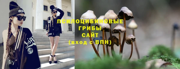марки nbome Гусиноозёрск