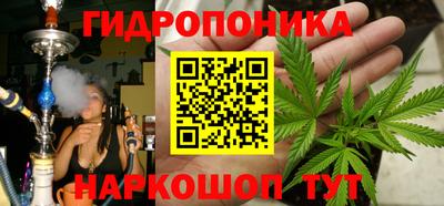 мдма Камышлов