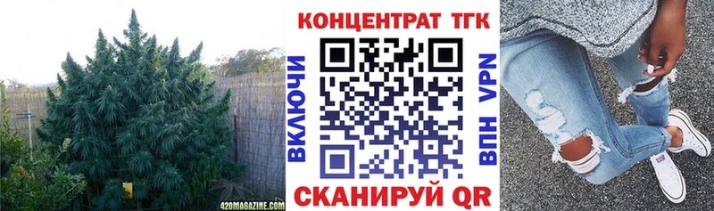 продажа наркотиков Муром Дистиллят ТГК гашишное масло