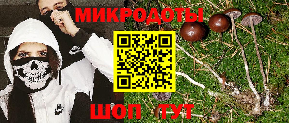 Галлюциногенные грибы прущие грибы  Вход с VPN  Муром 