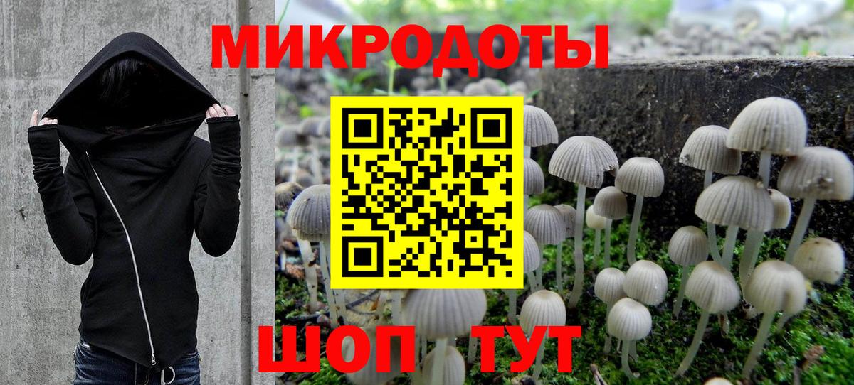 Псилоцибиновые грибы ЛСД Муром
